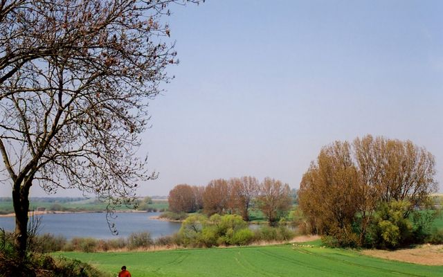 Dammsee im Naturpark Uckermärkische Seen (c) Klinger